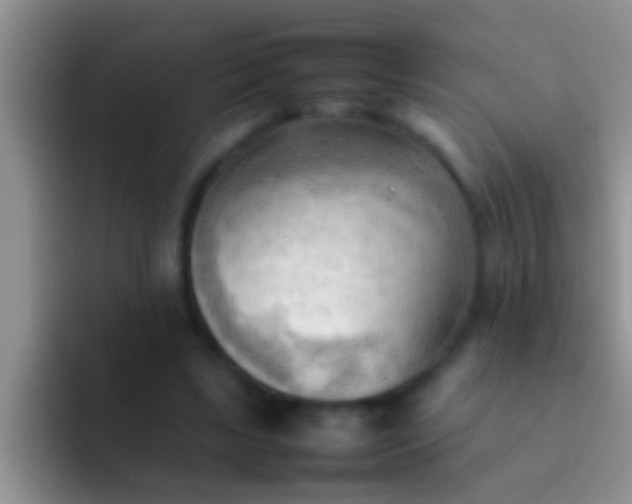 X0000092090443200709262126