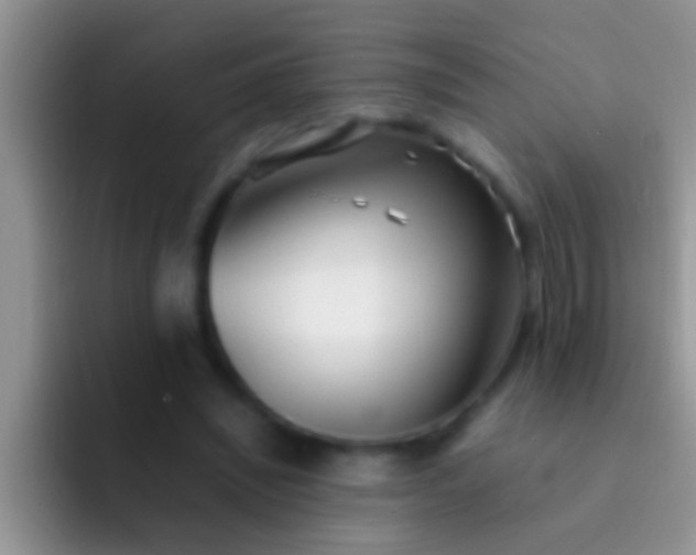 X0000092090444200709262126