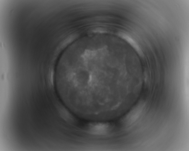 X0000092090445200709262126