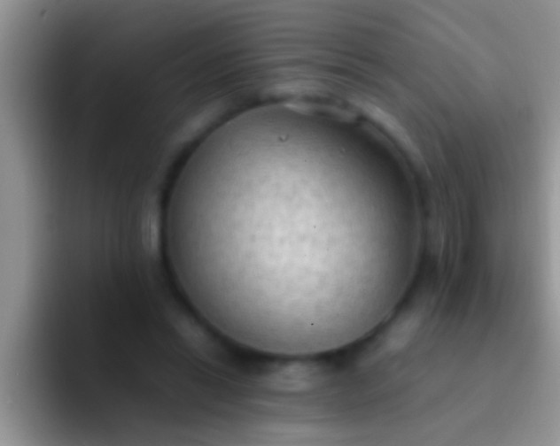 X0000092090446200709262126
