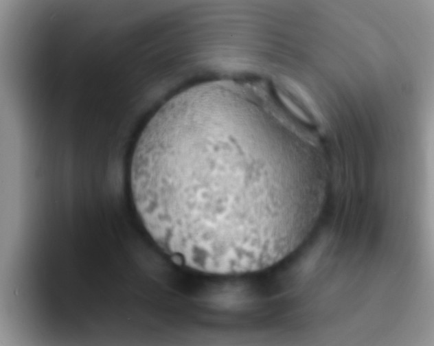 X0000092090447200709262126