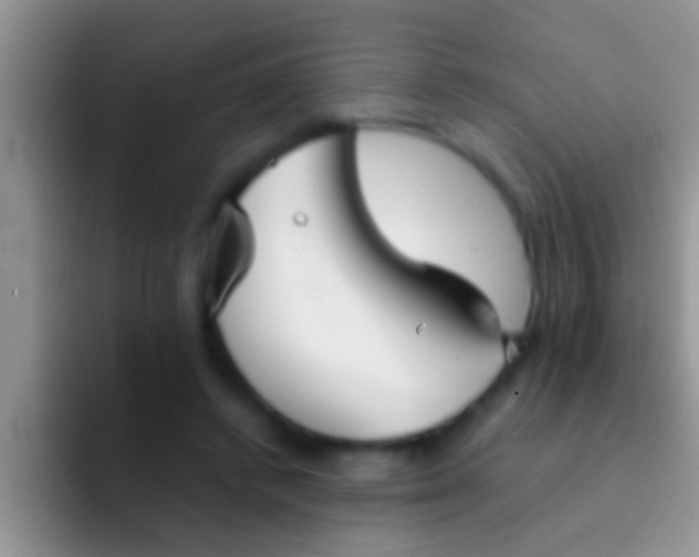 X0000092090448200709262126