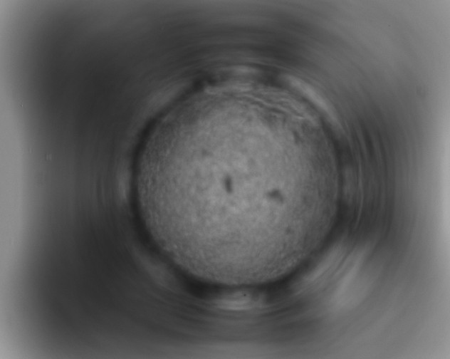 X0000092090451200709262126