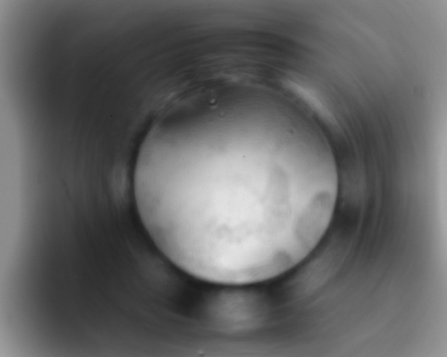 X0000092090453200709262126
