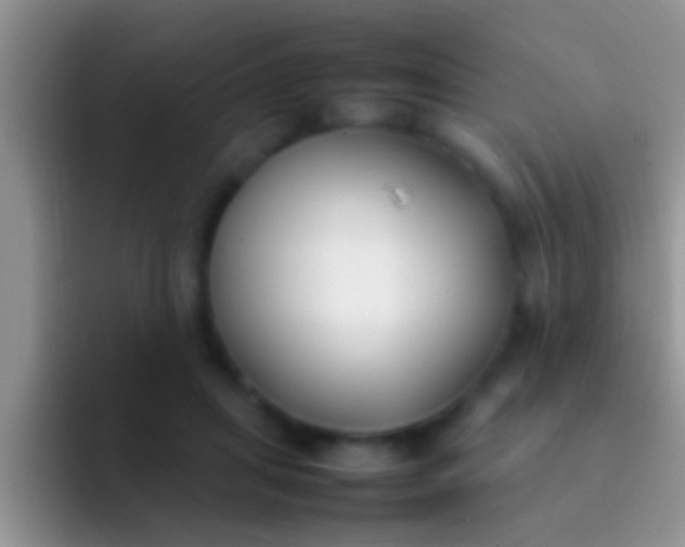 X0000092090455200709262126