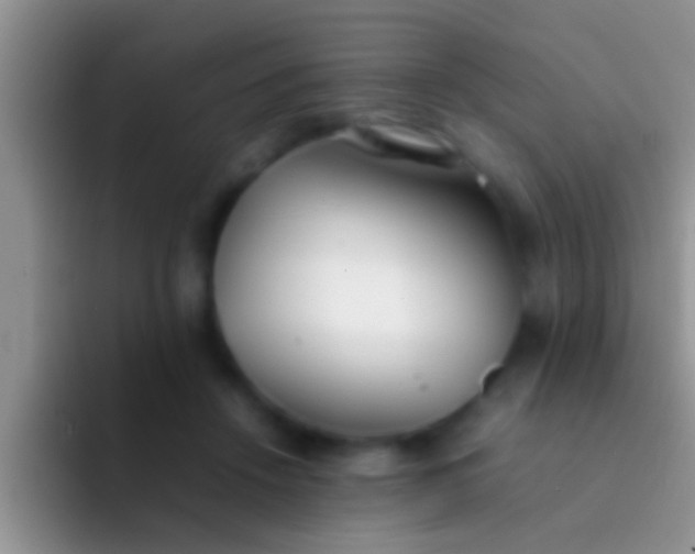 X0000092090456200709262126