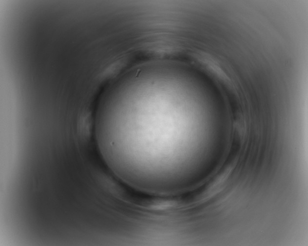 X0000092090458200709262126