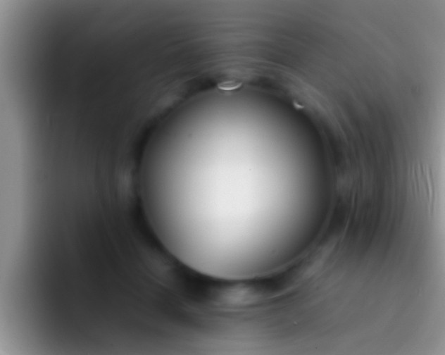 X0000092090460200709262126
