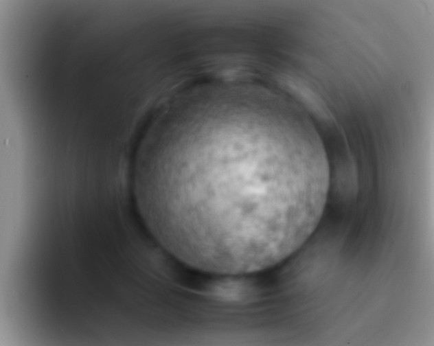 X0000092090461200709262126