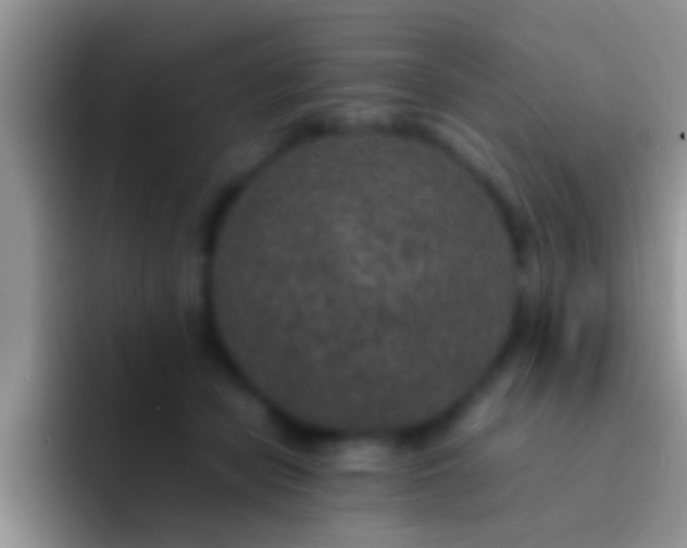 X0000092090462200709262126