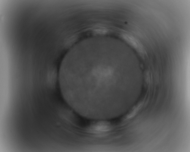X0000092090463200709262126