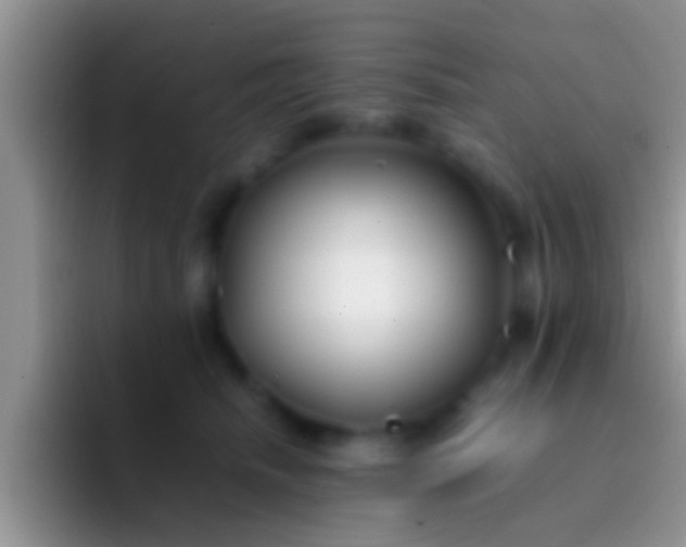 X0000092090468200709262126
