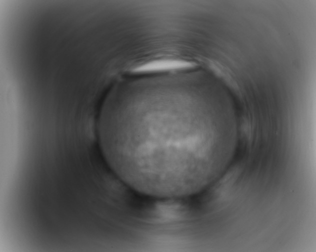 X0000092090470200709262126