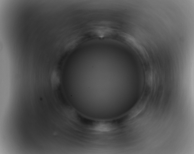 X0000092090471200709262126