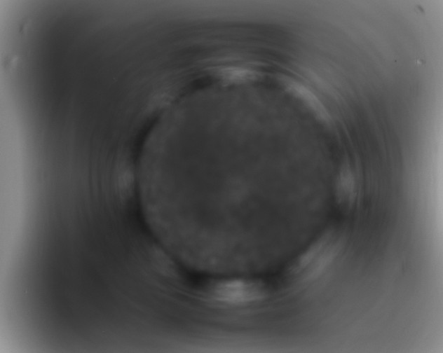 X0000092090473200709262126