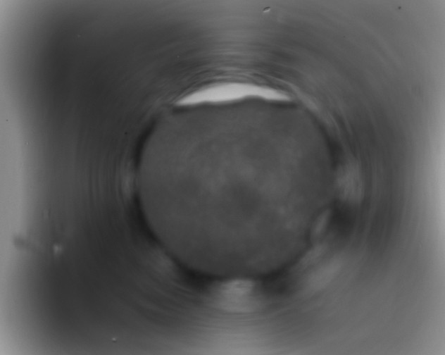 X0000092090474200709262126