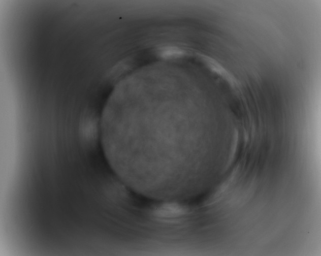 X0000092090475200709262126