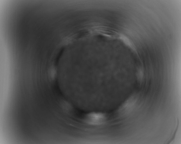 X0000092090477200709262126