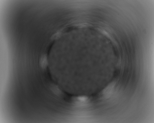 X0000092090478200709262126