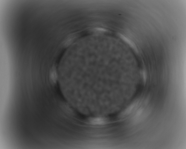 X0000092090479200709262126