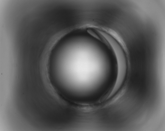 X0000092090481200709262126