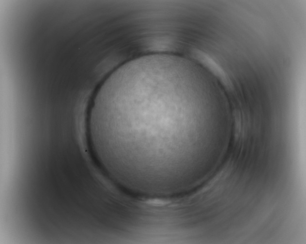 X0000092090482200709262126