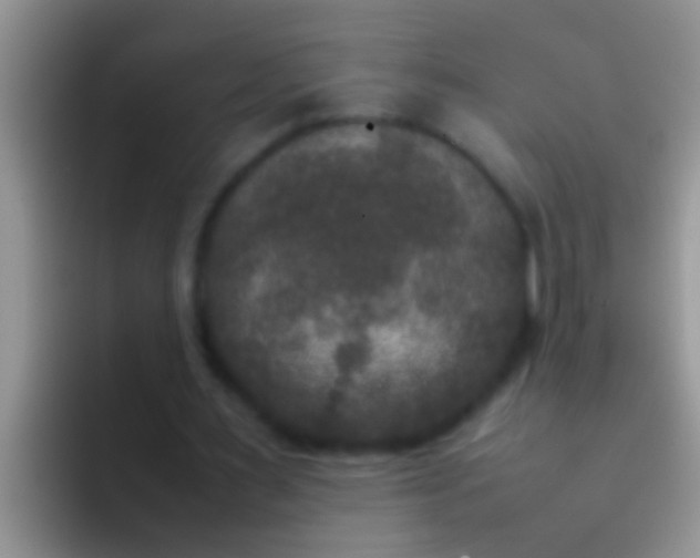 X0000092090483200709262126