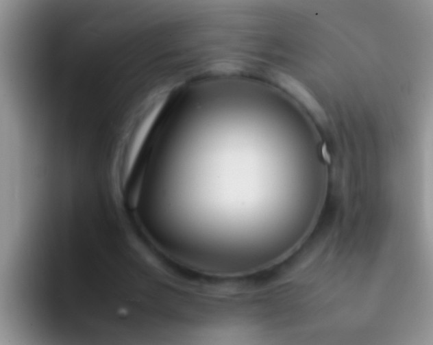 X0000092090485200709262126