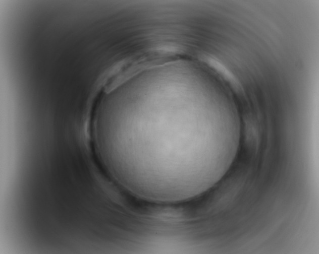 X0000092090486200709262126