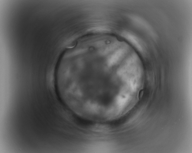 X0000092090487200709262126