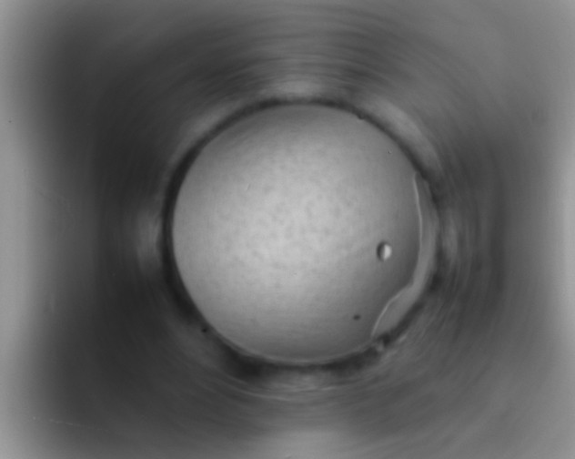 X0000092090488200709262126