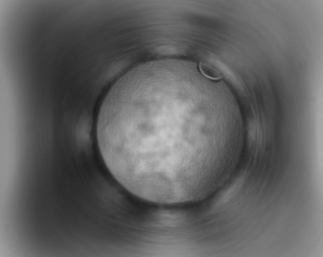 X0000092090490200709262126