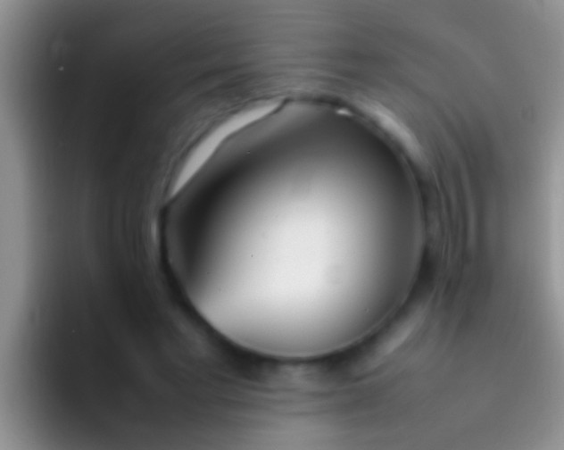 X0000092090493200709262126