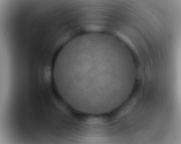 X0000092090494200709262126
