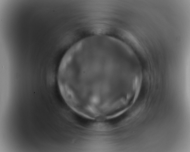 X0000092090499200709262126
