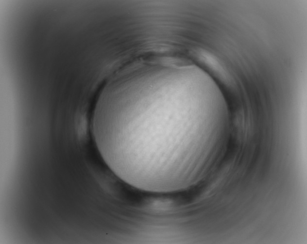 X0000092090500200709262126