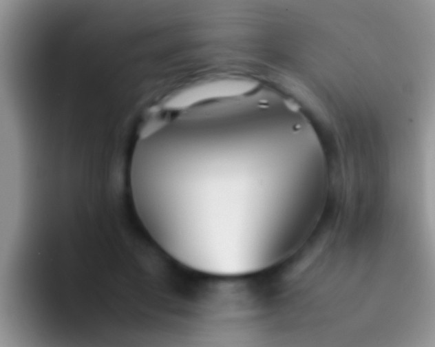 X0000092090501200709262125