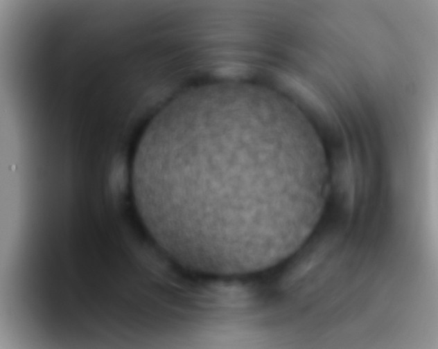 X0000092090502200709262125