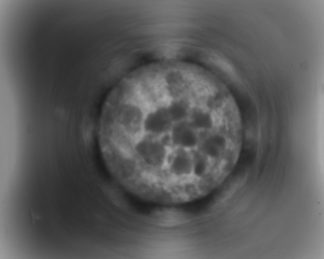 X0000092090503200709262125