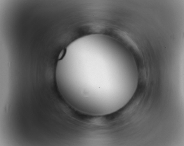 X0000092090505200709262125