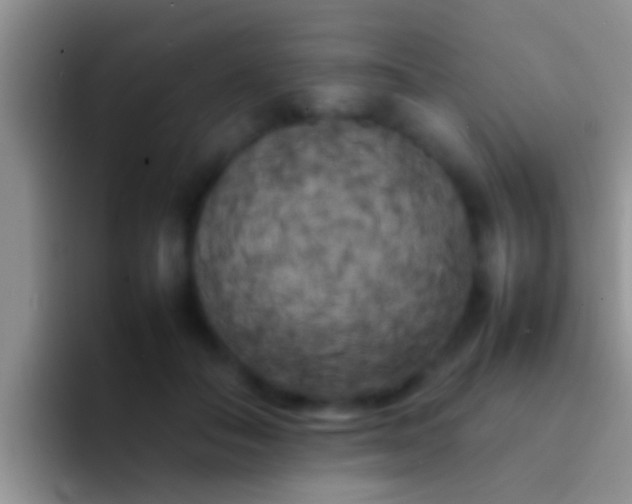 X0000092090506200709262125