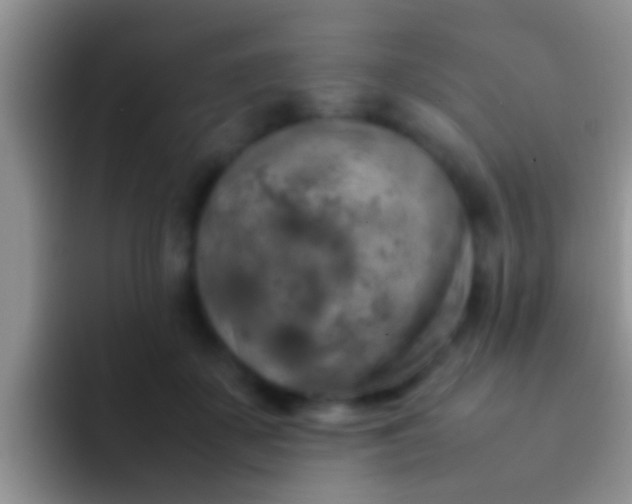 X0000092090507200709262125