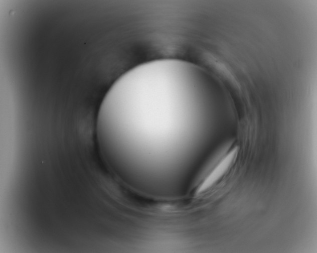 X0000092090509200709262125