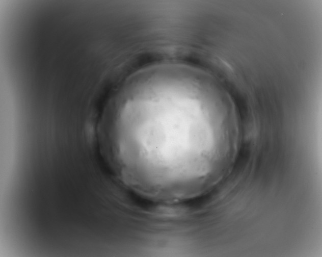X0000092090515200709262125
