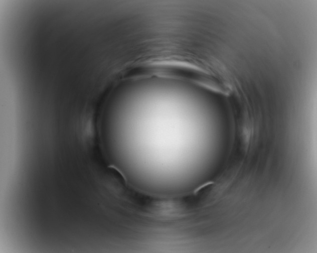 X0000092090516200709262125