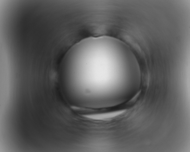 X0000092090521200709262125