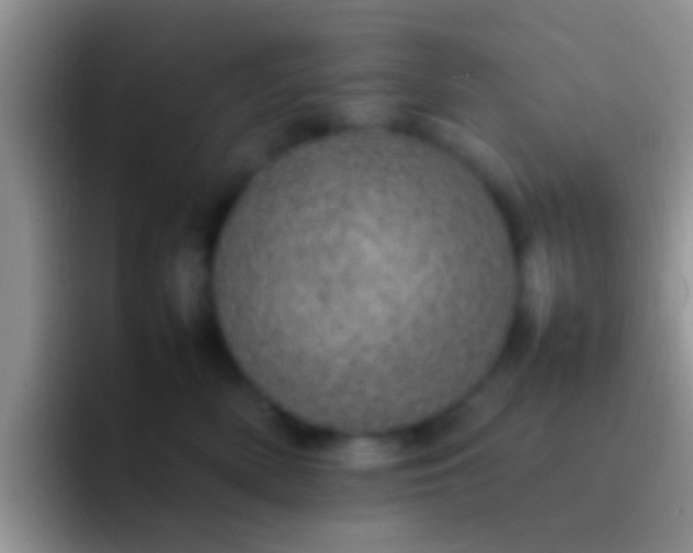 X0000092090522200709262125