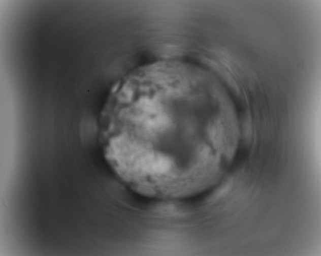 X0000092090523200709262125