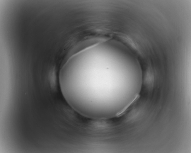 X0000092090524200709262125