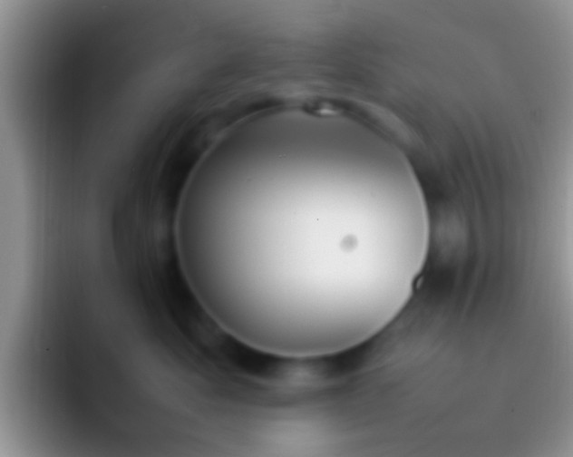X0000092090525200709262125